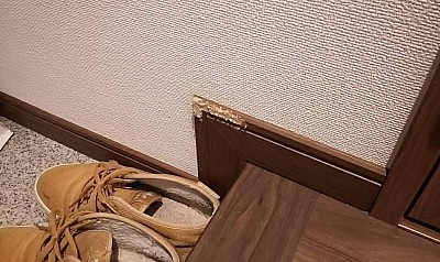 玄関付近の巾木のかじった傷、巾木以外にも上がり框、敷居の噛んだ傷補修も対応いたします。