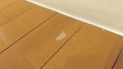家の床、住まいの代表的なキズといえば、フローリング傷凹みです。このフローリングリペアの仕上がり写真は下記にあります。